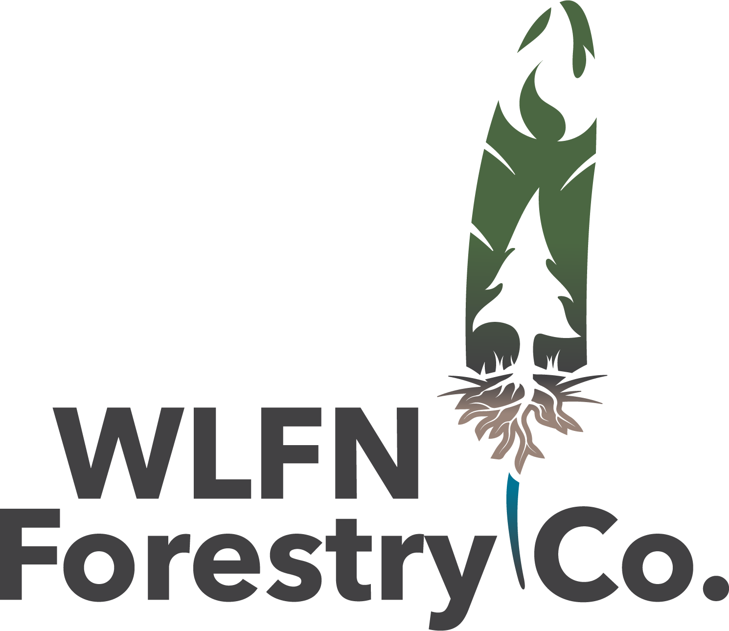 WLFN Forestry Company Ltd.