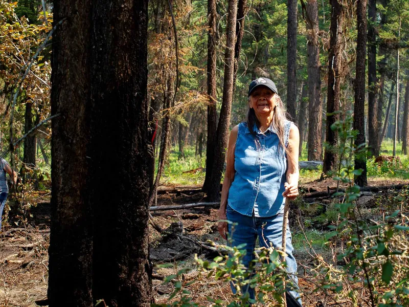 Post Image for Thumbnail for Help Shape the Future of WLFN Forestry