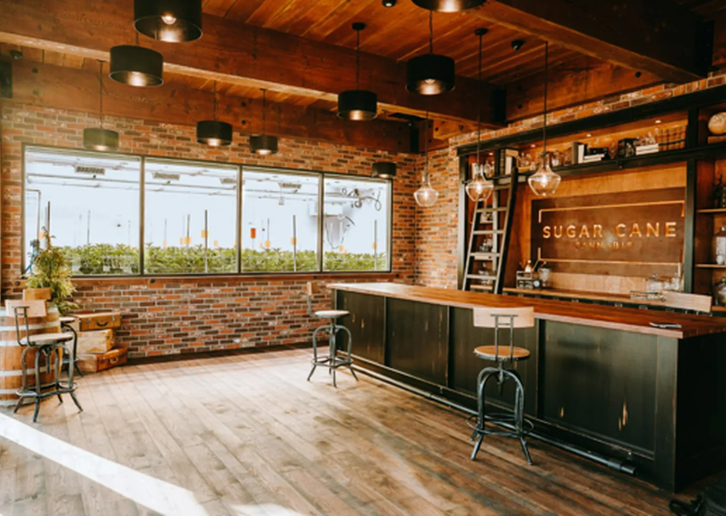 Post Image For Thumbnail for Sugar Cane Cannabis to host Grand Opening Event