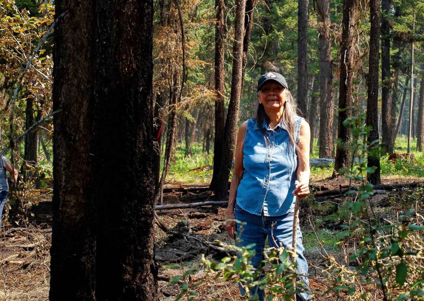 Post Image For Thumbnail for Help Shape the Future of WLFN Forestry