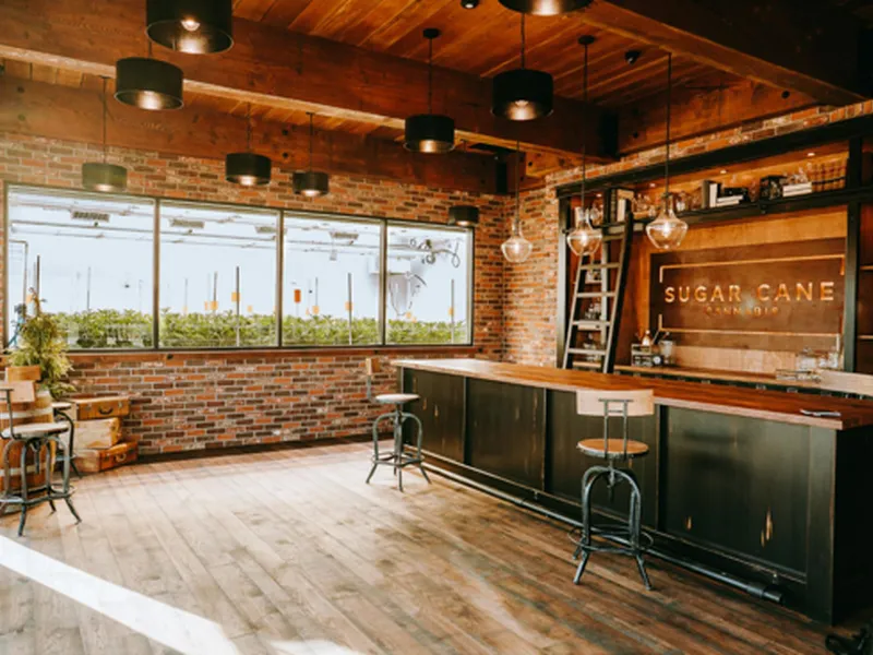 Post Image for Thumbnail for Sugar Cane Cannabis to host Grand Opening Event