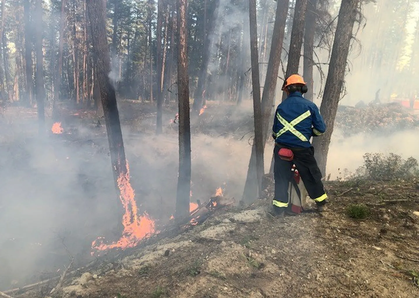 Post Image For Thumbnail for Wildland Firefighter Training Available