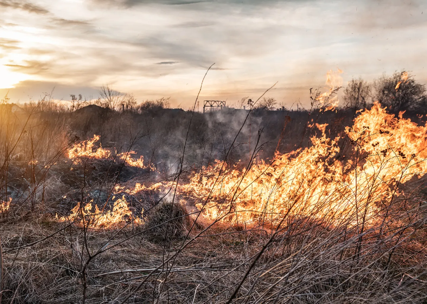 Post Image For Thumbnail for Spring and Fall Burning – Remember Your Permit