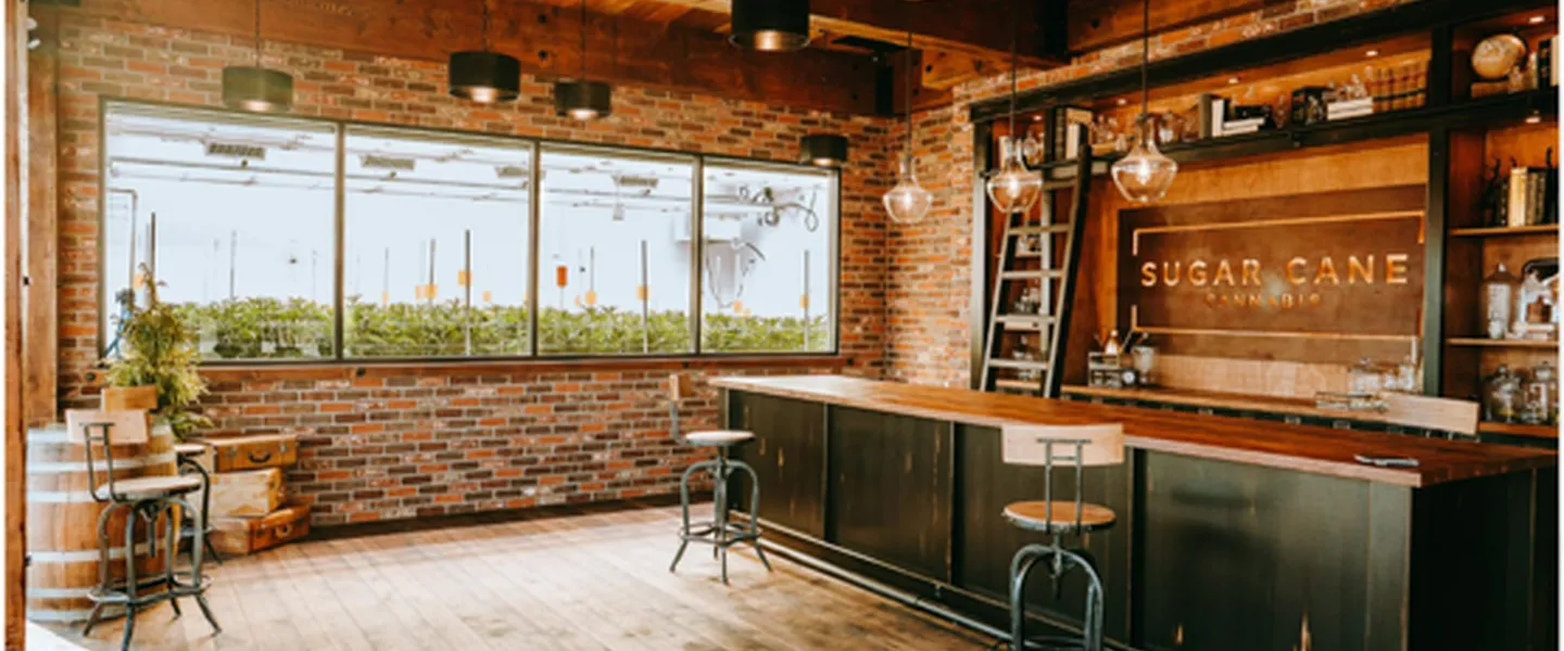 Post Image For Thumbnail for Sugar Cane Cannabis to host Grand Opening Event