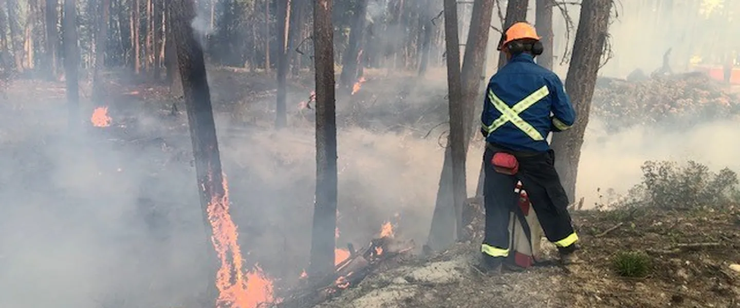 Post Image For Thumbnail for Wildland Firefighter Training Available