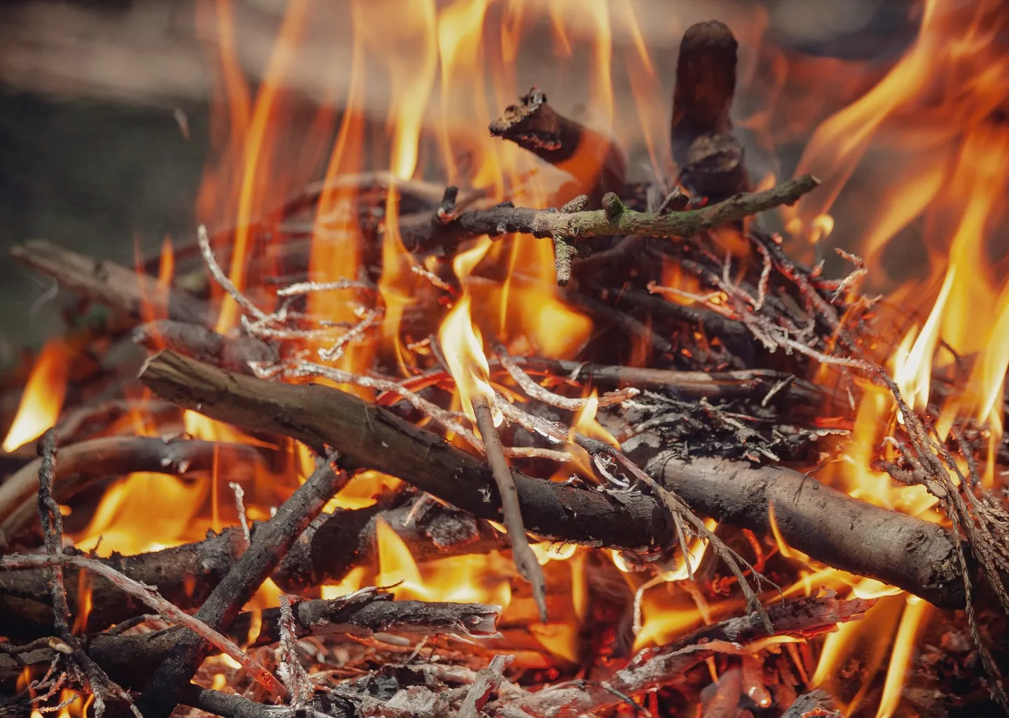 Post Image For Thumbnail for Community Burn Taking Place at Sugar Cane