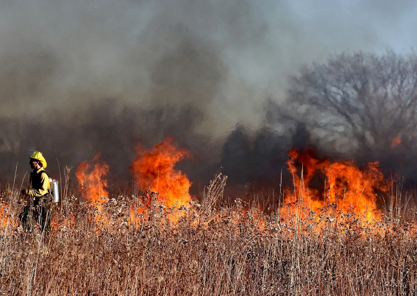 Post Image For Thumbnail for Spring Burn Permit Notice
