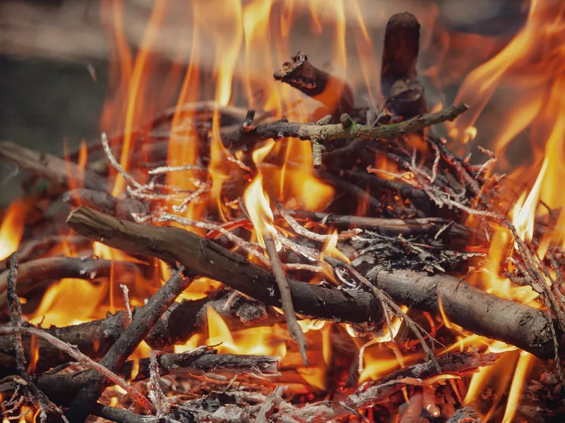 Post Image for Thumbnail for Community Burn Taking Place at Sugar Cane