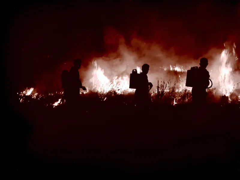 Post Image for Thumbnail for Prescribed Burns to Occur in the Cariboo Fire Centre