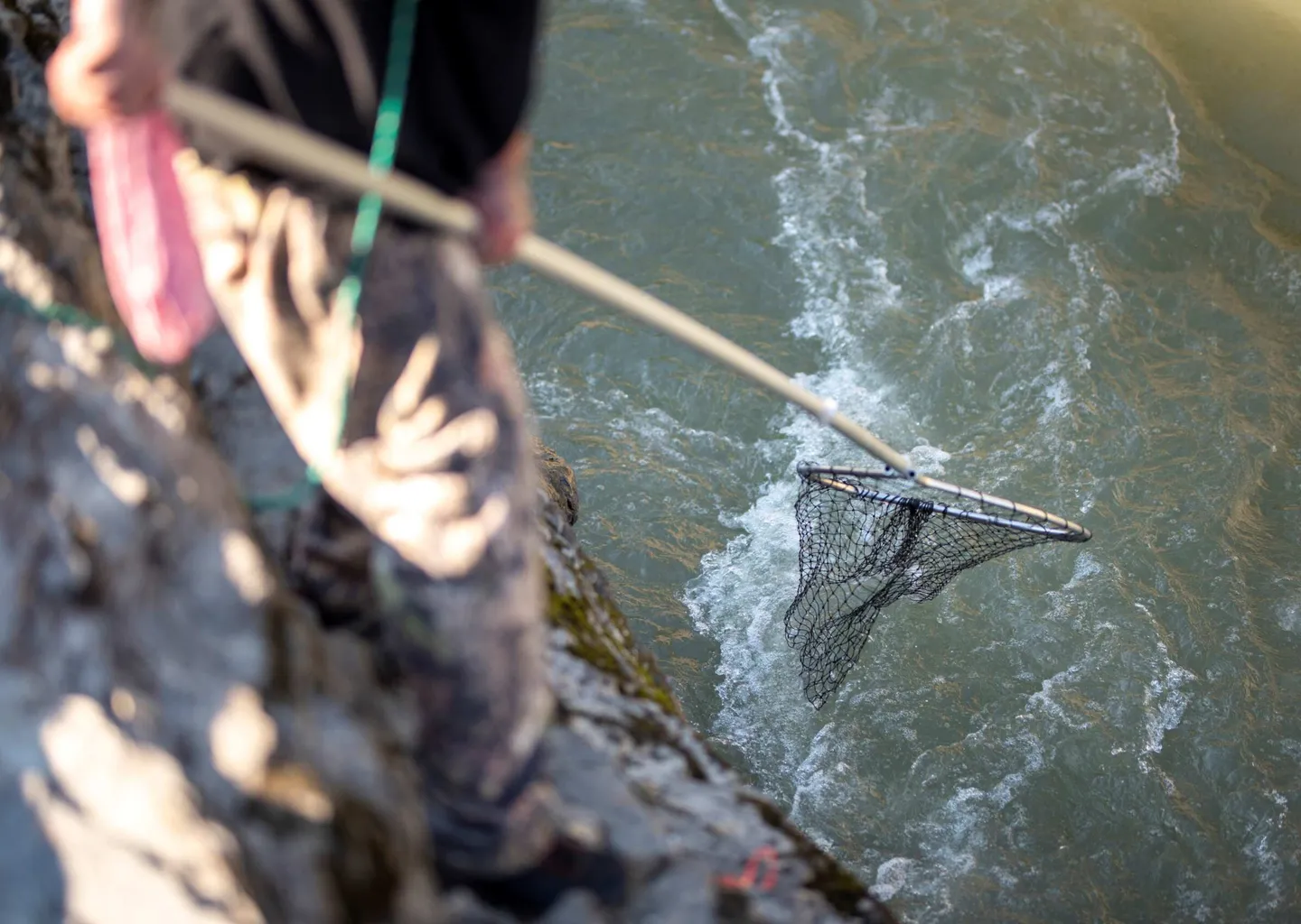 Post Image For Thumbnail for Williams Lake First Nation 2026 Fishing Plan